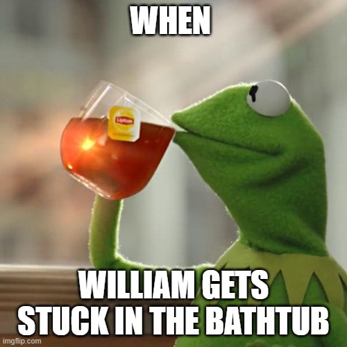 But That's None Of My Business Meme | WHEN; WILLIAM GETS STUCK IN THE BATHTUB | image tagged in memes,but that's none of my business,kermit the frog | made w/ Imgflip meme maker