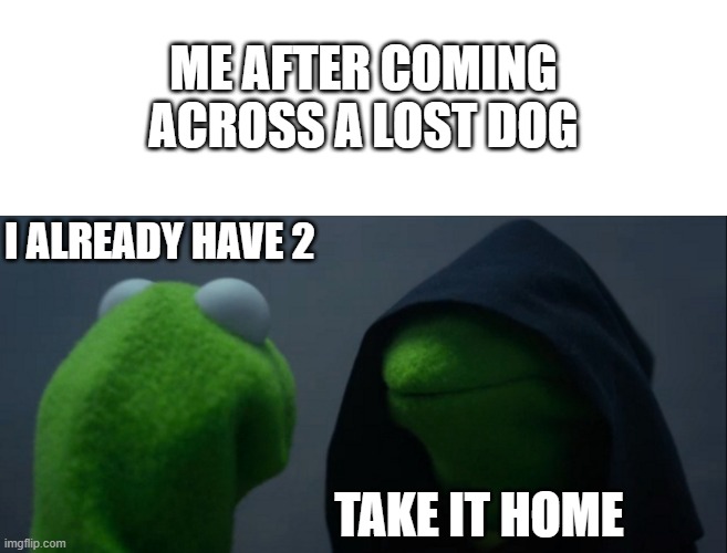 I can't leave it behind! | ME AFTER COMING ACROSS A LOST DOG; I ALREADY HAVE 2; TAKE IT HOME | image tagged in memes,blank transparent square,evil kermit | made w/ Imgflip meme maker