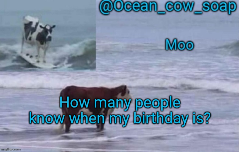 Probably not many XD | How many people know when my birthday is? | image tagged in soap's ocean cow temp ty yachi | made w/ Imgflip meme maker