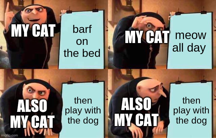 Gru's Plan Meme | MY CAT; barf on the bed; meow all day; MY CAT; then play with the dog; then play with the dog; ALSO MY CAT; ALSO MY CAT | image tagged in memes,gru's plan | made w/ Imgflip meme maker