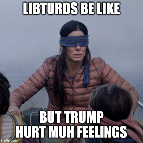 Bird Box Meme | LIBTURDS BE LIKE BUT TRUMP HURT MUH FEELINGS | image tagged in memes,bird box | made w/ Imgflip meme maker
