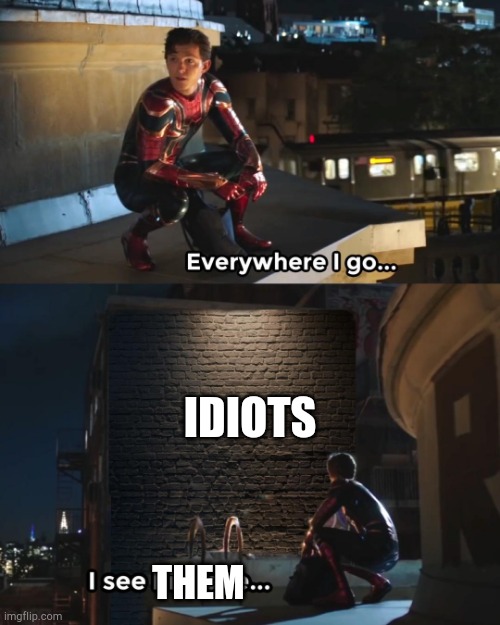 Everywhere I Go Spider-Man | IDIOTS THEM | image tagged in everywhere i go spider-man | made w/ Imgflip meme maker