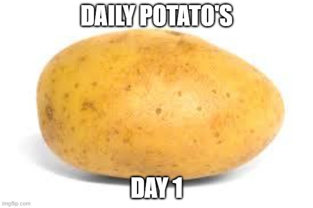 Potato | DAILY POTATO'S; DAY 1 | image tagged in potato | made w/ Imgflip meme maker