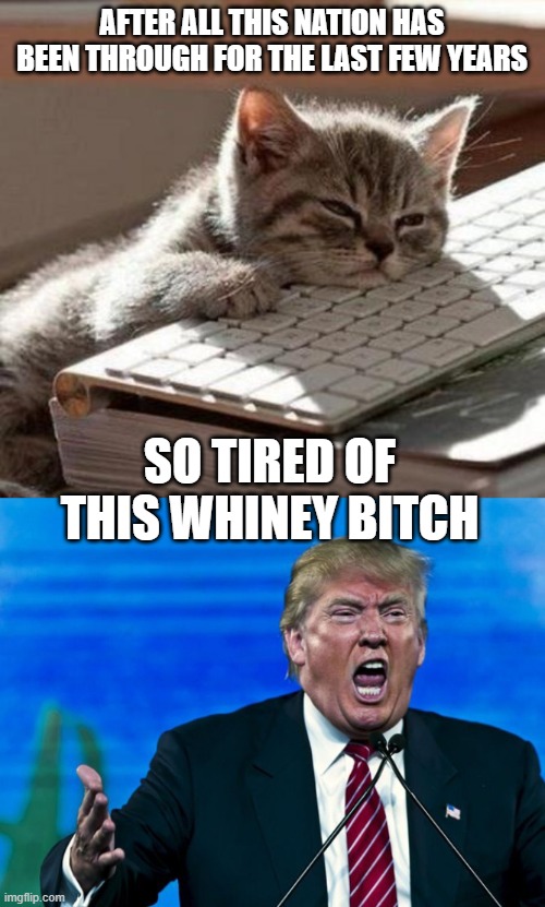 Shut him up, or lock him up, or preferably both. | AFTER ALL THIS NATION HAS BEEN THROUGH FOR THE LAST FEW YEARS; SO TIRED OF THIS WHINEY BITCH | image tagged in tired cat,memes,crybaby,loser,donald trump is an idiot,politics | made w/ Imgflip meme maker