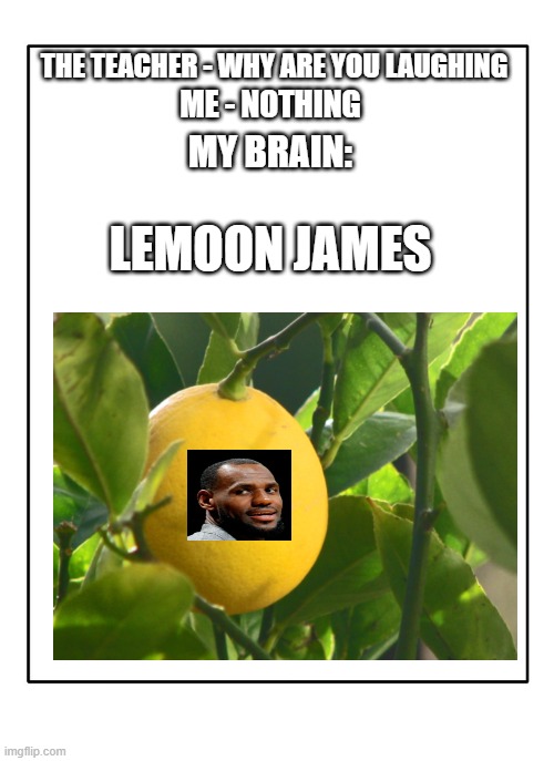 Blank Template | THE TEACHER - WHY ARE YOU LAUGHING; ME - NOTHING; MY BRAIN:; LEMOON JAMES | image tagged in blank template | made w/ Imgflip meme maker