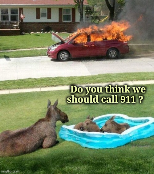 Just another day in America | Do you think we  
should call 911 ? | image tagged in fire alarm,civilized discussion,nothing to see here,move on | made w/ Imgflip meme maker