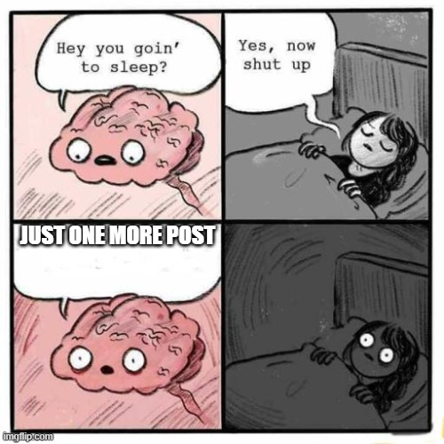 Hey you going to sleep? | JUST ONE MORE POST | image tagged in hey you going to sleep | made w/ Imgflip meme maker