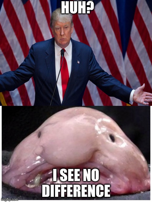 Trump and his dad | HUH? I SEE NO DIFFERENCE | image tagged in blobfish | made w/ Imgflip meme maker