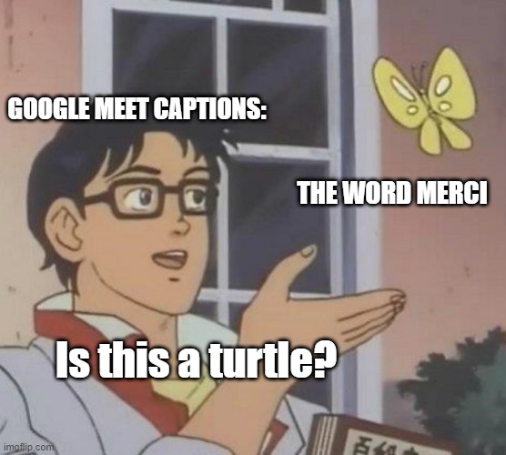 Is This A Pigeon | GOOGLE MEET CAPTIONS:; THE WORD MERCI; Is this a turtle? | image tagged in memes,is this a pigeon | made w/ Imgflip meme maker