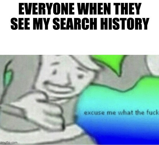 Excuse me wtf blank template | EVERYONE WHEN THEY SEE MY SEARCH HISTORY | image tagged in excuse me wtf blank template | made w/ Imgflip meme maker