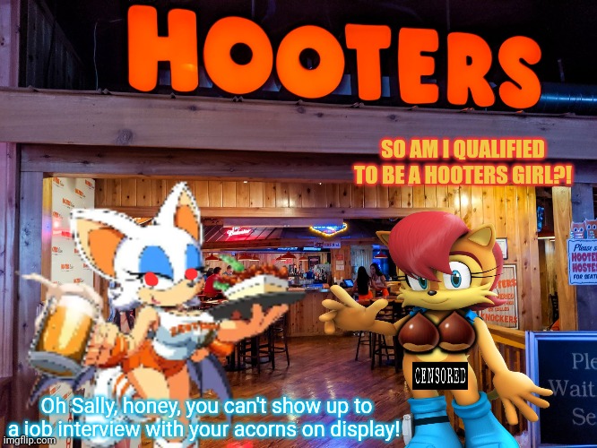 Sally wants to be a waifu too! | SO AM I QUALIFIED TO BE A HOOTERS GIRL?! 🌰; 🌰; Oh Sally, honey, you can't show up to a job interview with your acorns on display! | image tagged in hooters,sally acorn,waifu,new job,put your clothes on,sonic the hedgehog | made w/ Imgflip meme maker