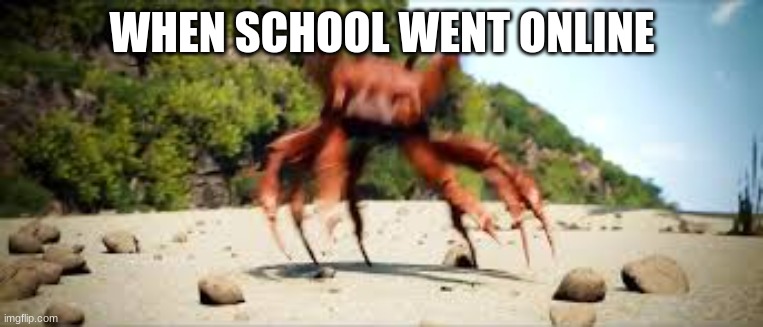 MR CRABSSSSSSS LOL NOT Him | WHEN SCHOOL WENT ONLINE | image tagged in crab rave | made w/ Imgflip meme maker