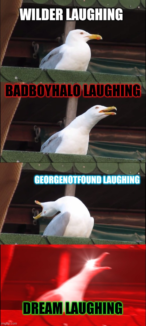 Inhaling Seagull | WILDER LAUGHING; BADBOYHALO LAUGHING; GEORGENOTFOUND LAUGHING; DREAM LAUGHING | image tagged in memes,inhaling seagull,dream team | made w/ Imgflip meme maker