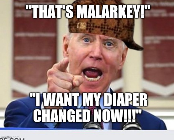 Joe Biden no malarkey | "THAT'S MALARKEY!"; "I WANT MY DIAPER CHANGED NOW!!!" | image tagged in joe biden no malarkey | made w/ Imgflip meme maker