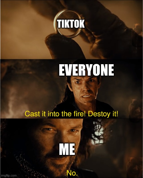 NEVER!! | TIKTOK; EVERYONE; ME | image tagged in cast it into the fire | made w/ Imgflip meme maker