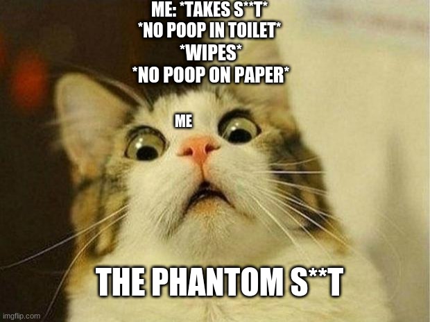 Scared Cat | ME: *TAKES S**T*
*NO POOP IN TOILET*; *WIPES*
*NO POOP ON PAPER*; ME; THE PHANTOM S**T | image tagged in memes,scared cat | made w/ Imgflip meme maker