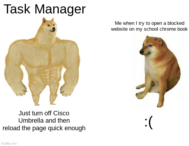 School Chromebooks be like | Task Manager; Me when I try to open a blocked website on my school chrome book; Just turn off Cisco Umbrella and then reload the page quick enough; :( | image tagged in memes,buff doge vs cheems | made w/ Imgflip meme maker