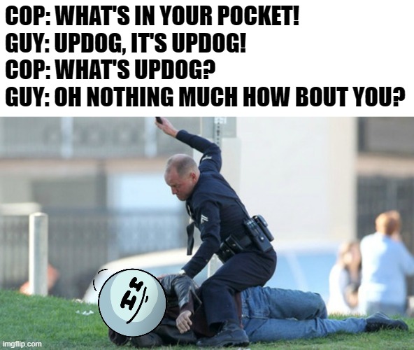 Cop Beating | COP: WHAT'S IN YOUR POCKET!
GUY: UPDOG, IT'S UPDOG!
COP: WHAT'S UPDOG?
GUY: OH NOTHING MUCH HOW BOUT YOU? | image tagged in cop beating | made w/ Imgflip meme maker