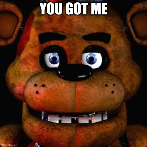 Five Nights At Freddys | YOU GOT ME | image tagged in five nights at freddys | made w/ Imgflip meme maker