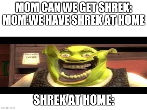 MOM CAN WE GET SHREK:
MOM:WE HAVE SHREK AT HOME; SHREK AT HOME: | image tagged in shrek | made w/ Imgflip meme maker
