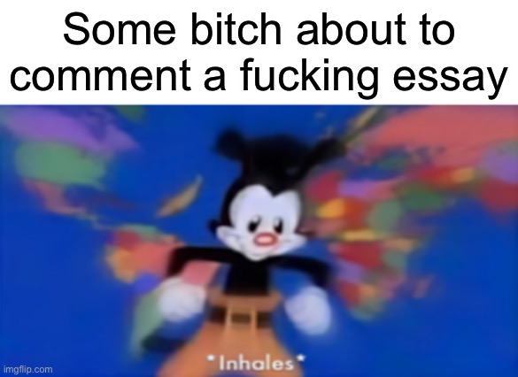 Yakko inhale | Some bitch about to comment a fucking essay | image tagged in yakko inhale | made w/ Imgflip meme maker