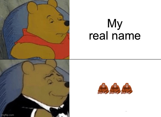 Tuxedo Winnie The Pooh Meme | My real name ??? | image tagged in memes,tuxedo winnie the pooh | made w/ Imgflip meme maker