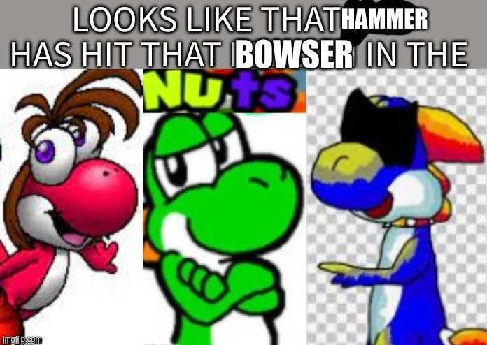 Looks Like That Egg Has Hit That Person In The Nuts | HAMMER BOWSER | image tagged in looks like that egg has hit that person in the nuts | made w/ Imgflip meme maker