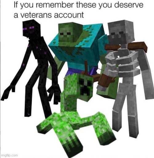 RIP | image tagged in minecraft memes,veterans,account,oh wow are you actually reading these tags,oof | made w/ Imgflip meme maker
