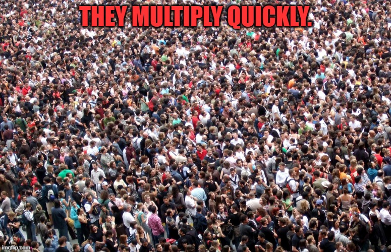 crowd of people | THEY MULTIPLY QUICKLY. | image tagged in crowd of people | made w/ Imgflip meme maker