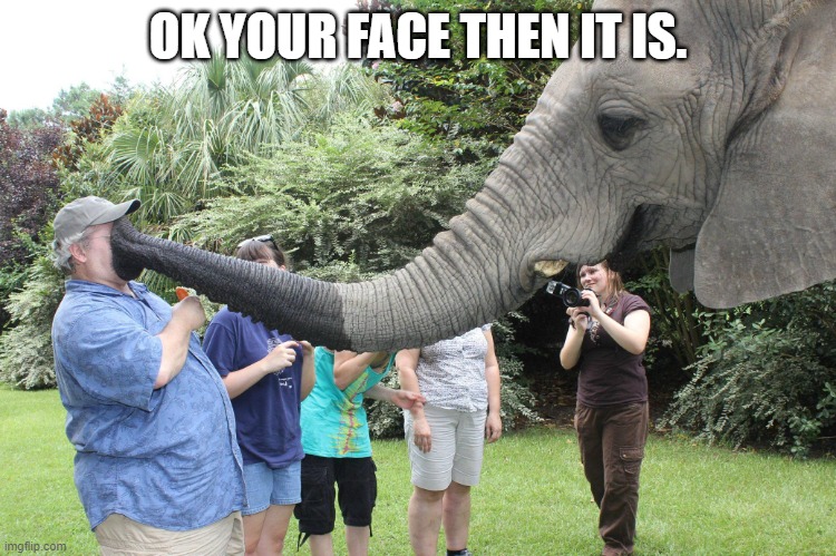 Boop | OK YOUR FACE THEN IT IS. | image tagged in boop | made w/ Imgflip meme maker