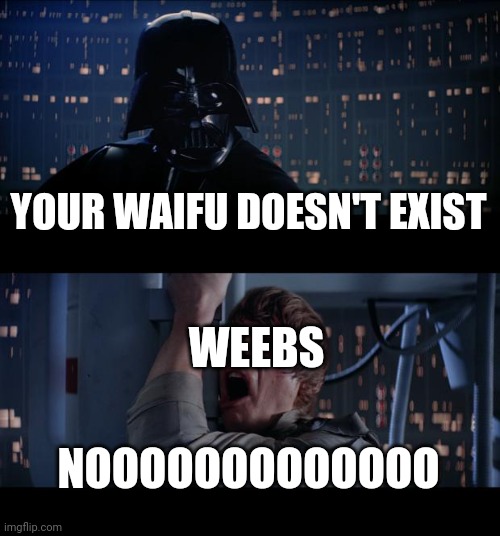 Star Wars No | YOUR WAIFU DOESN'T EXIST; WEEBS; NOOOOOOOOOOOOO | image tagged in memes,star wars no | made w/ Imgflip meme maker