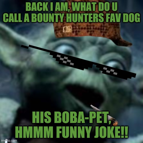 HES BACK | BACK I AM, WHAT DO U CALL A BOUNTY HUNTERS FAV DOG; HIS BOBA-PET, HMMM FUNNY JOKE!! | image tagged in yoda,lolz | made w/ Imgflip meme maker