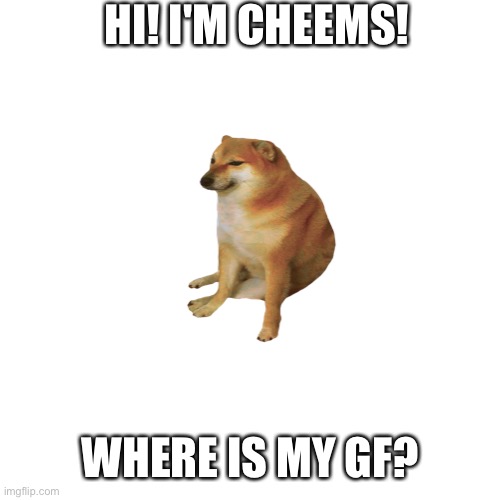 Blank Transparent Square Meme | HI! I'M CHEEMS! WHERE IS MY GF? | image tagged in memes,blank transparent square,cheems,girlfriend,dogs,doge | made w/ Imgflip meme maker