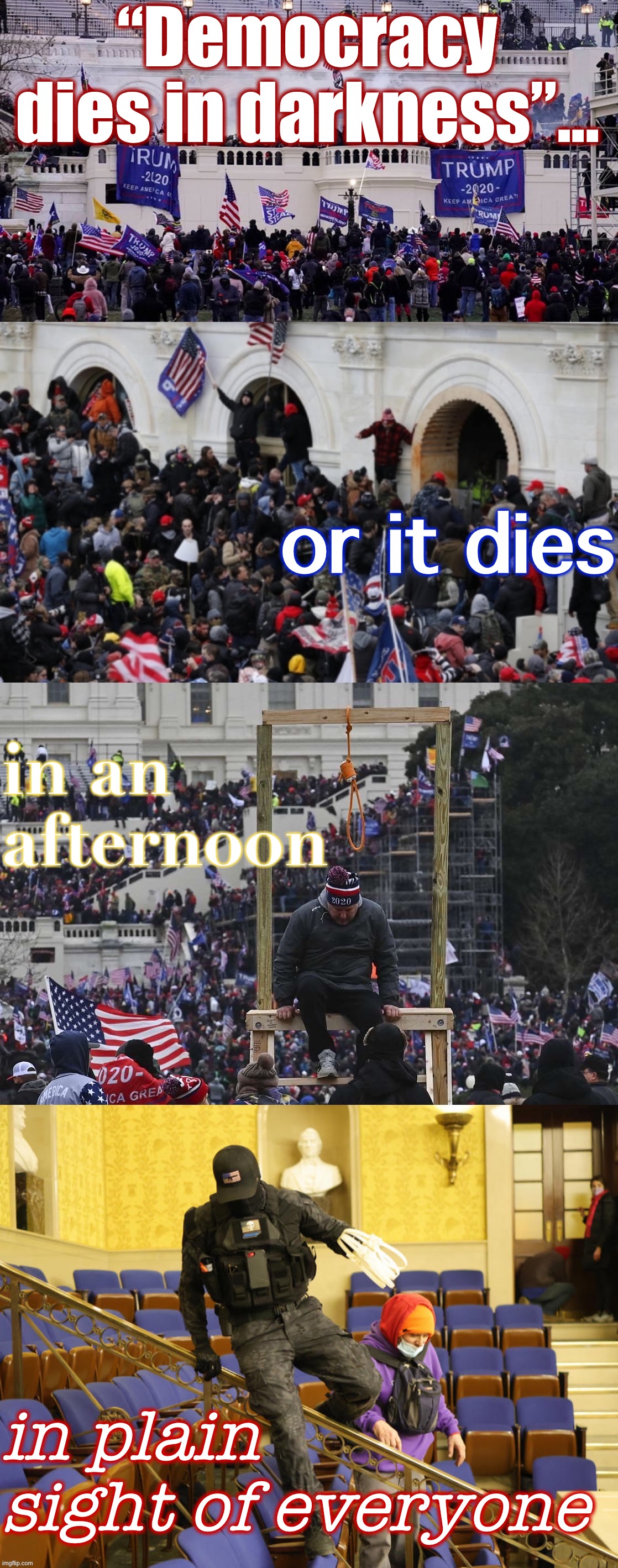 Democracy dies in darkness Jan. 6 riot Blank Meme Template