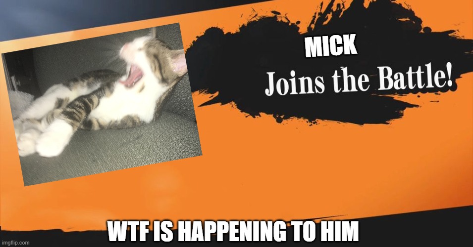 Smash Bros. | MICK; WTF IS HAPPENING TO HIM | image tagged in smash bros | made w/ Imgflip meme maker