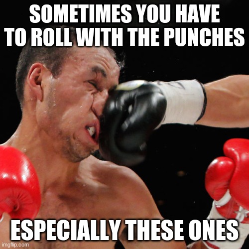 Boxer Getting Punched In The Face |  SOMETIMES YOU HAVE TO ROLL WITH THE PUNCHES; ESPECIALLY THESE ONES | image tagged in boxer getting punched in the face | made w/ Imgflip meme maker