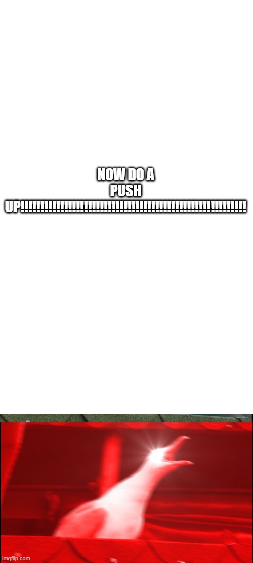 NOW DO A PUSH UP!!!!!!!!!!!!!!!!!!!!!!!!!!!!!!!!!!!!!!!!!!!!!!!!!!!!!!!!! | made w/ Imgflip meme maker