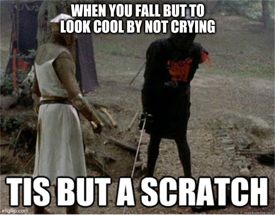 lol | WHEN YOU FALL BUT TO LOOK COOL BY NOT CRYING | image tagged in tis but a scratch | made w/ Imgflip meme maker
