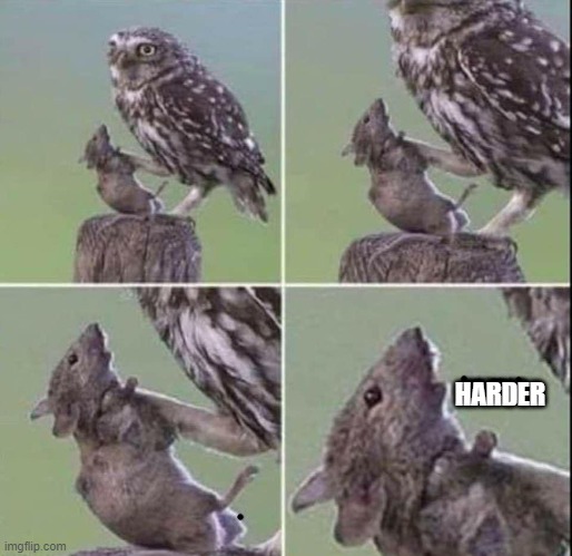 HARDER | image tagged in dark humor,funny | made w/ Imgflip meme maker