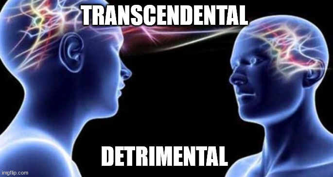 Spiritual couples be like | TRANSCENDENTAL; DETRIMENTAL | image tagged in spiritual couples be like | made w/ Imgflip meme maker