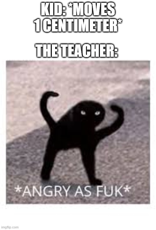 RULER SLAP | KID: *MOVES 1 CENTIMETER*; THE TEACHER: | image tagged in angery as fuk | made w/ Imgflip meme maker