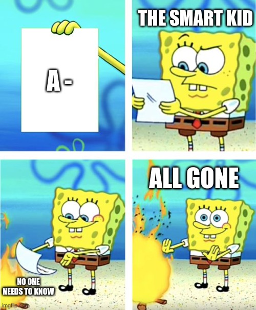 Spongebob Burning Paper | THE SMART KID; A -; ALL GONE; NO ONE NEEDS TO KNOW | image tagged in spongebob burning paper | made w/ Imgflip meme maker
