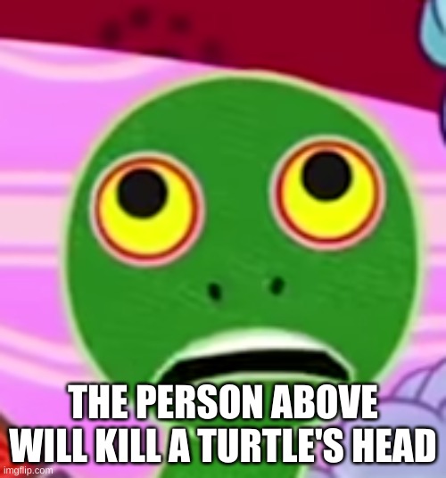 THE PERSON ABOVE WILL KILL A TURTLE'S HEAD | made w/ Imgflip meme maker