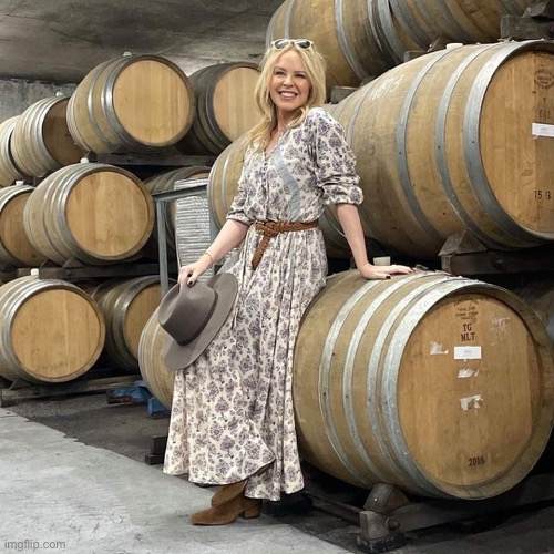 y would she ever need that much wine? think she has a problem | image tagged in kylie wine barrels | made w/ Imgflip meme maker