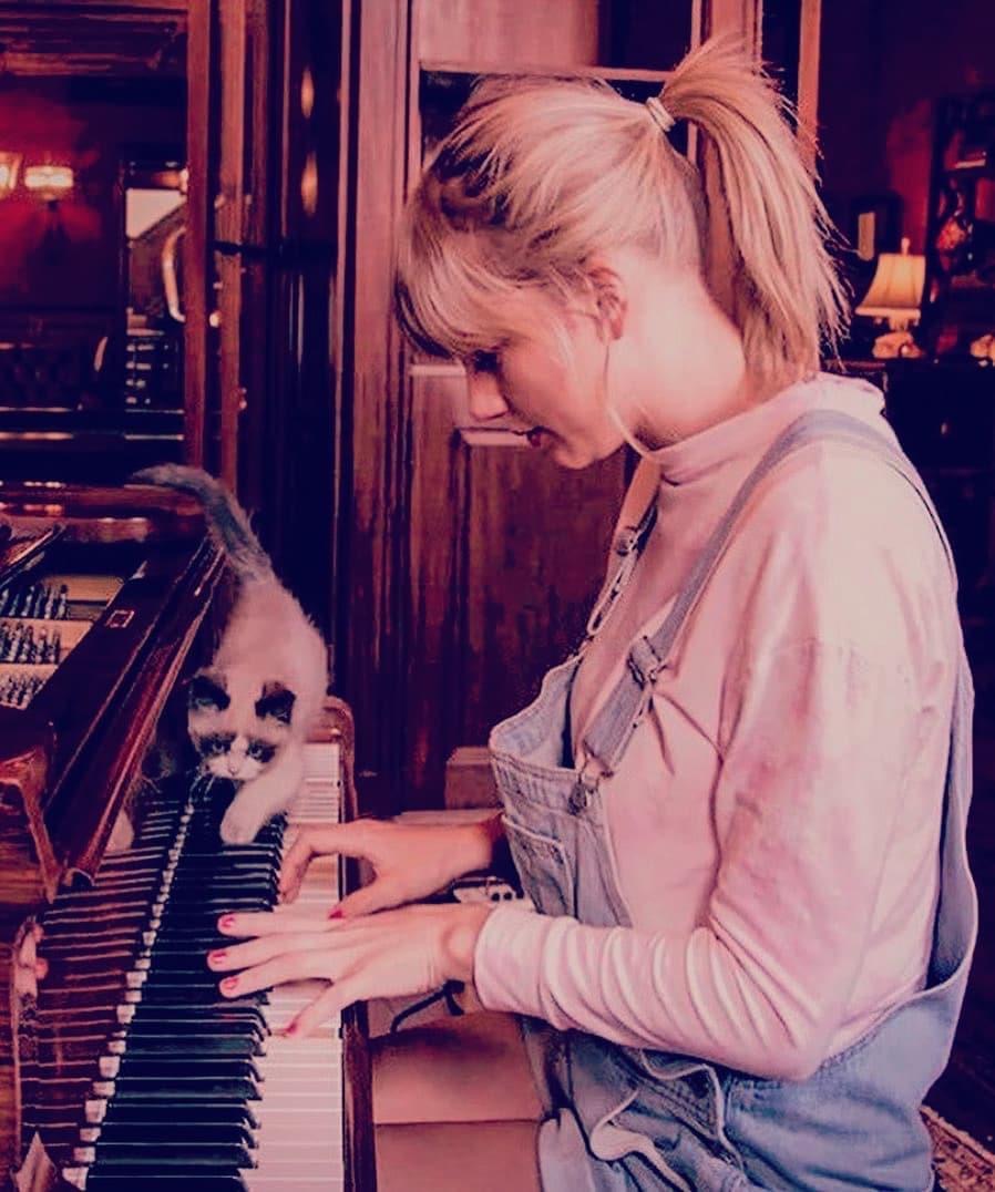 Taylor Swift piano cat Blank Meme Template
