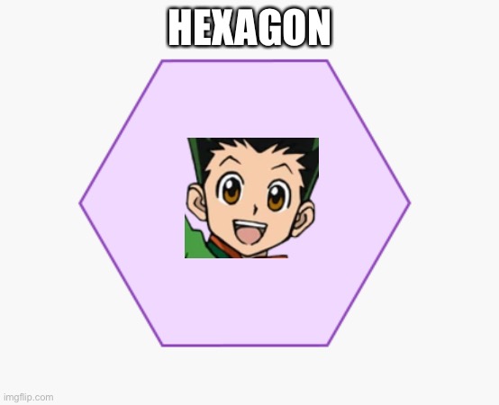 HexaGON | HEXAGON | image tagged in gon,hunter x hunter,hexagon | made w/ Imgflip meme maker