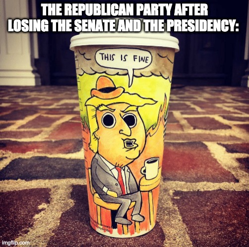 I'm pretty late on this one | THE REPUBLICAN PARTY AFTER LOSING THE SENATE AND THE PRESIDENCY: | image tagged in this is fine trump | made w/ Imgflip meme maker