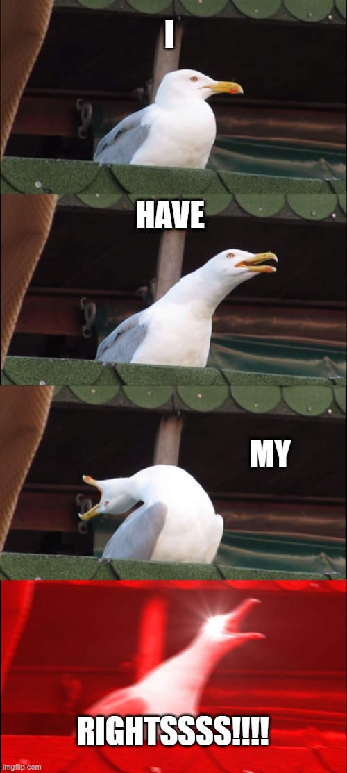 Karens be like | I; HAVE; MY; RIGHTSSSS!!!! | image tagged in memes,inhaling seagull | made w/ Imgflip meme maker