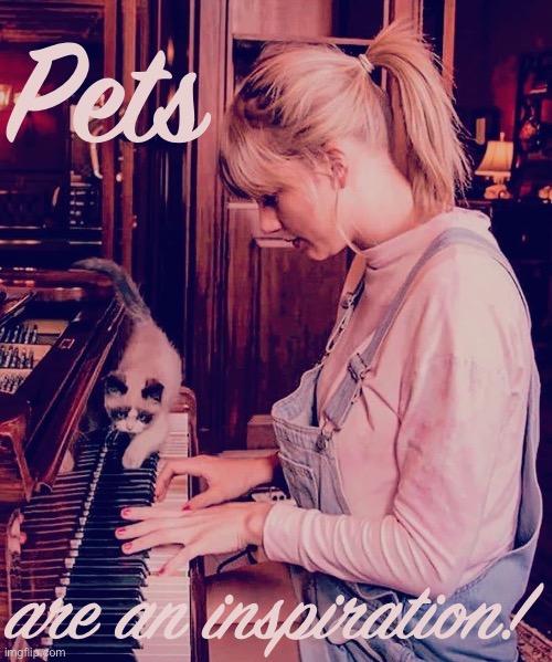 Little guy did not inspire the music, but did inspire the photo :) | Pets; are an inspiration! | image tagged in taylor swift piano cat,cats,piano,inspiration,inspirational memes,taylor swift | made w/ Imgflip meme maker