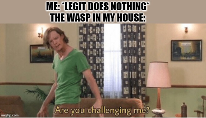 are you challenging me | ME: *LEGIT DOES NOTHING*
THE WASP IN MY HOUSE: | image tagged in are you challenging me | made w/ Imgflip meme maker